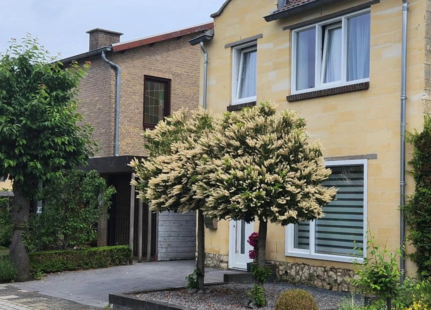 Casa Cinco Villa Valkenburg aan de Geul Netherlands